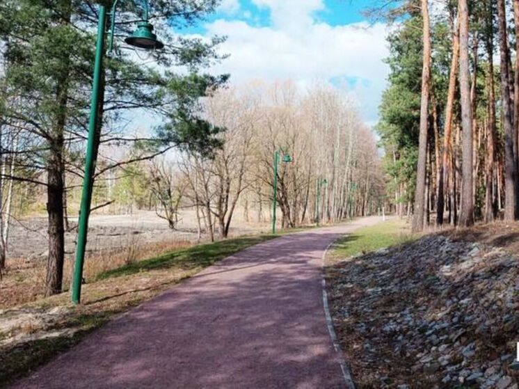 В прошлом году в урочище построили три трассы для бега
Сосновка – это большой природный парк, в котором белгородцы любят гулять и заниматься спортом