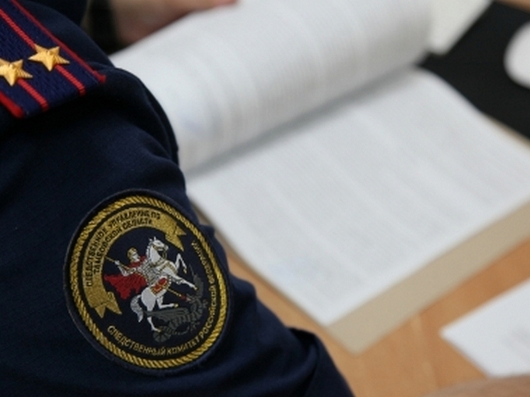 Тамбовчанин обратился к Бастрыкину по причине угроз в адрес своей семьи