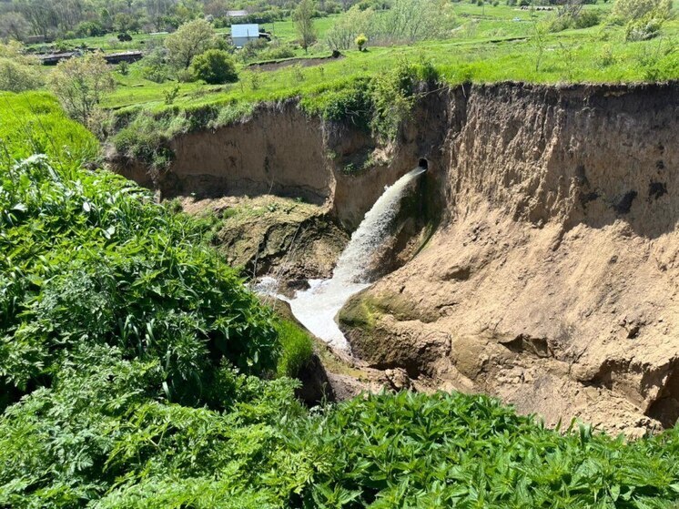 На Ставрополье исследуют причины массовой гибели рыбы на каскаде прудов в балке Кизиловой