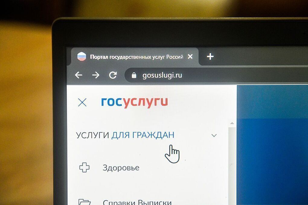 Россиянам назвали пять предлогов для получения кода авторизации на «Госулугах»