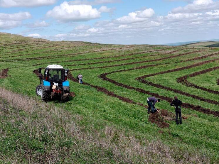 Живой памятник героям заложили в Малгобекском районе Ингушетии