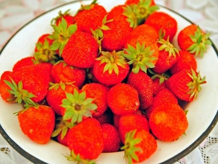 Волгоградцам дали советы, как правильно хранить клубнику