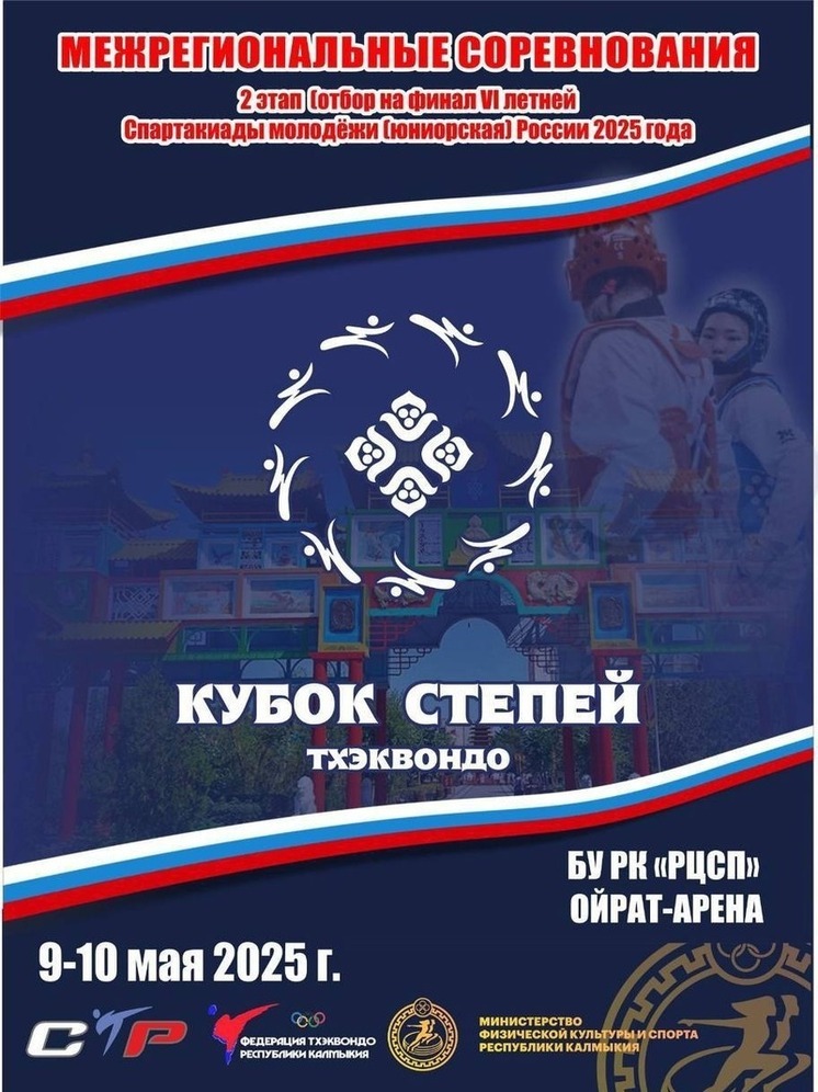 В Элисте пройдут межрегиональные соревнования по тхэквондо