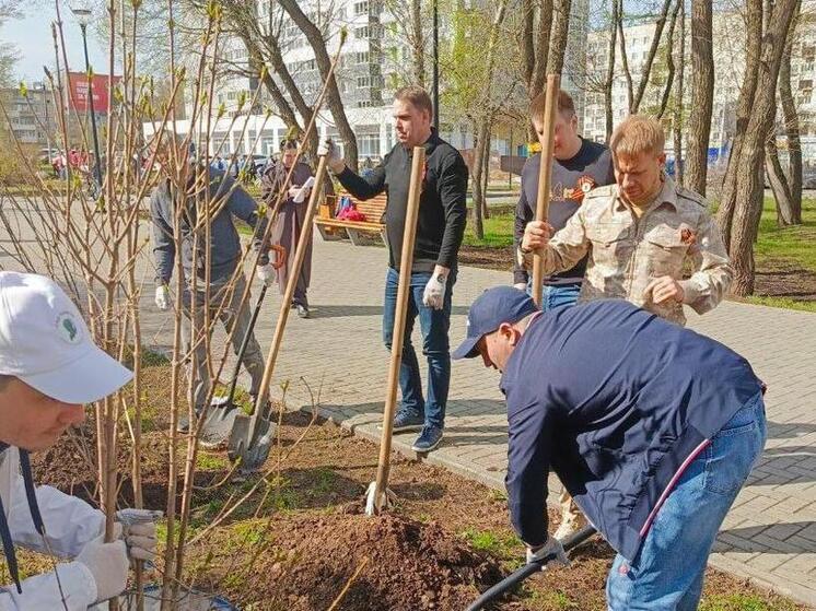 В Прикамье проходит международная акция «Сад памяти»
