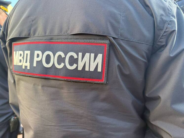 Устроившим погром в парке Победы в Черняховске подросткам избрали меру пресечения
