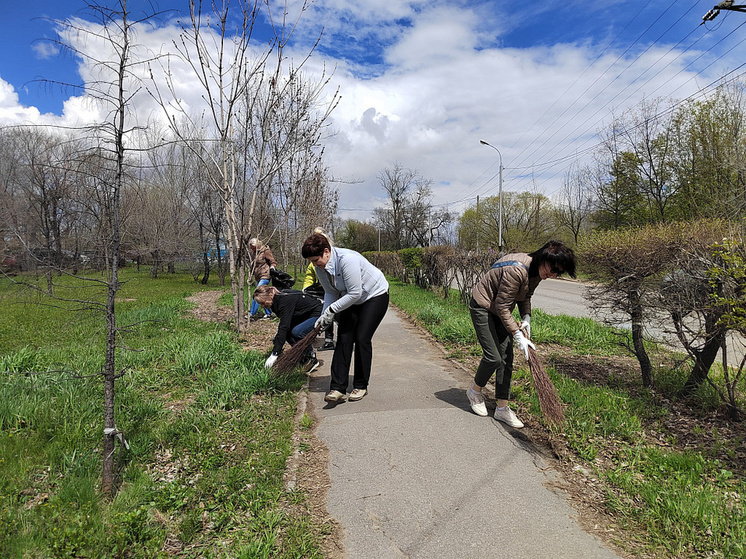 В Хабаровске на субботник 6 мая вышли почти 11 тысяч хабаровчан