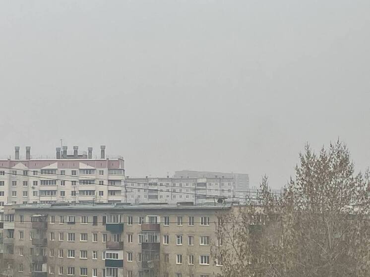 Читу затянуло дымом из-за 5 лесных пожаров площадью более 11 тыс га