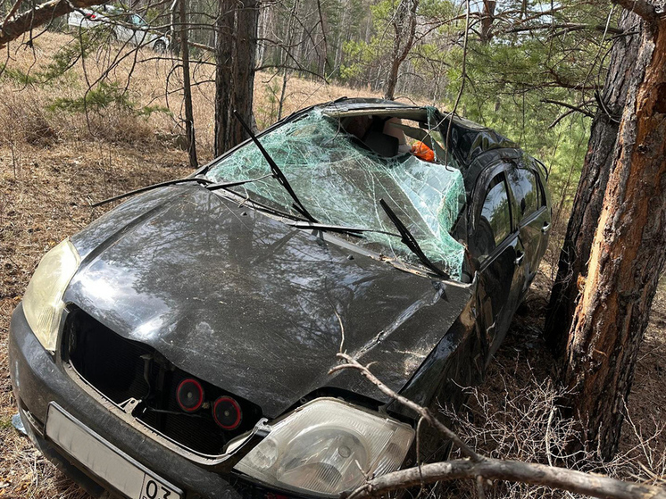 В Бурятии водитель на Lexus сбил 7-летнего велосепидиста