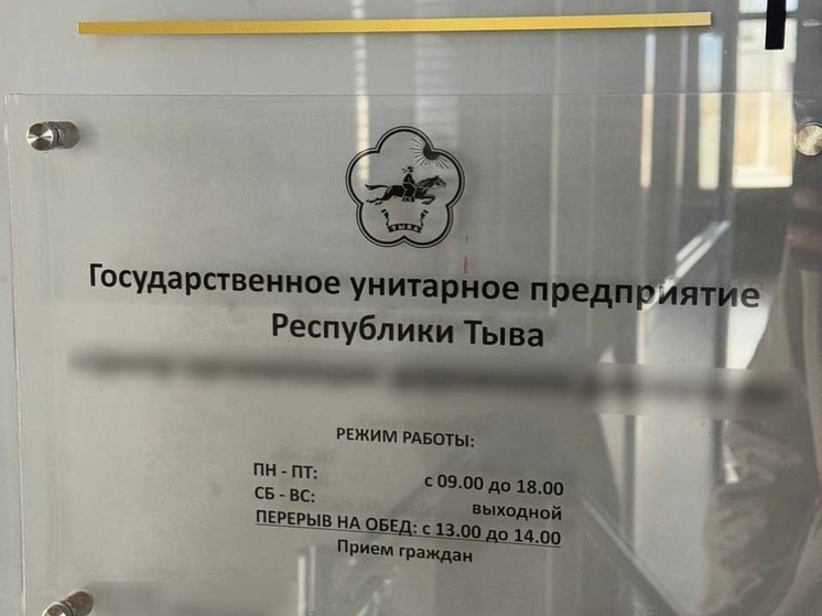 Главбух одного из ГУПов Тувы похитила более 540  тысяч рублей