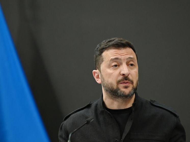 Депутат Рады Дубинский: Зеленский показал Германии, что можно запрещать партии