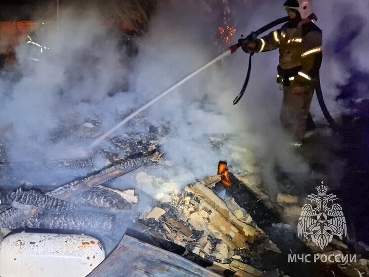 В Хакасии поджигатель уничтожил хозпостройки двух семей на площади 200 «квадратов»