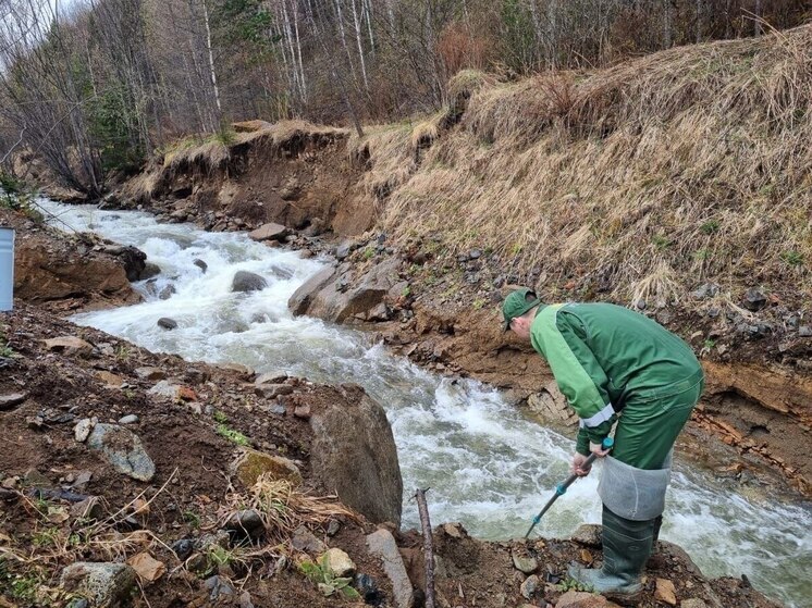 Хакасские экологи проверили еще три реки из-за золотодобытчиков