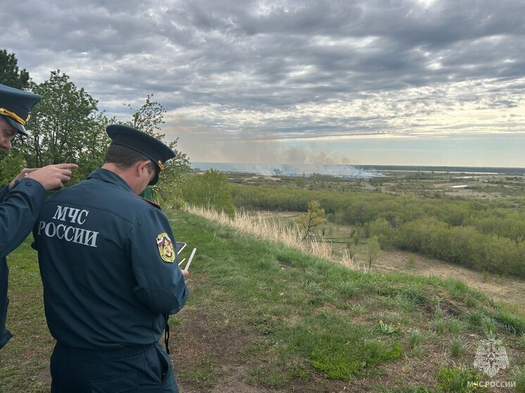 В окрестностях Барнаула полыхает ландшафтный пожар