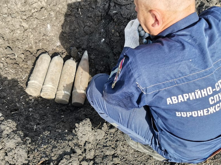Шесть боеприпасов времен ВОВ взорвали под Воронежем