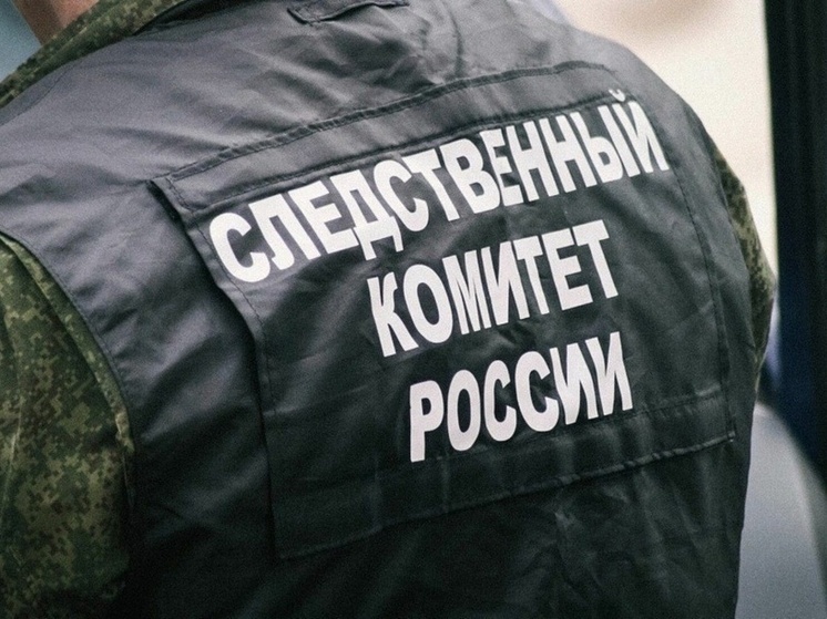 В Запорожье будут судить молодого человека, обвиняемого в терроризме