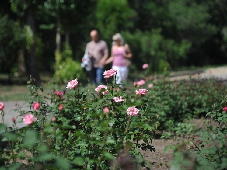 Волгоградцам рассказали об основных причинах заболеваний пожилых людей