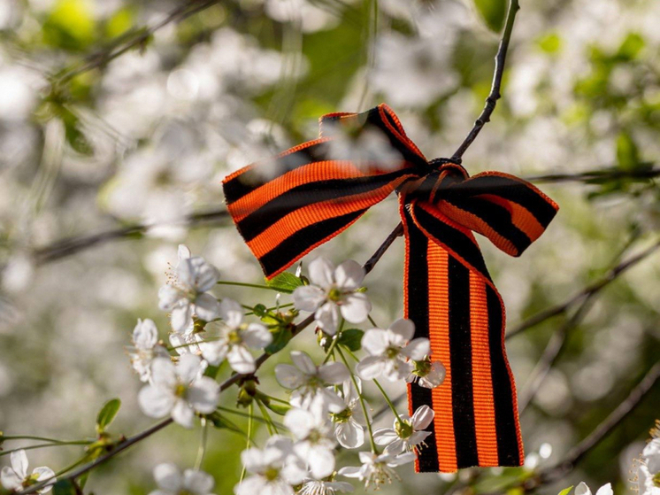На праздничные мероприятия приглашают жителей Хабаровского края в честь 80-летия Победы