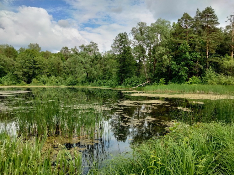Долгожданное потепление: с какого числа в Центральной России начнется по-настоящему теплый май