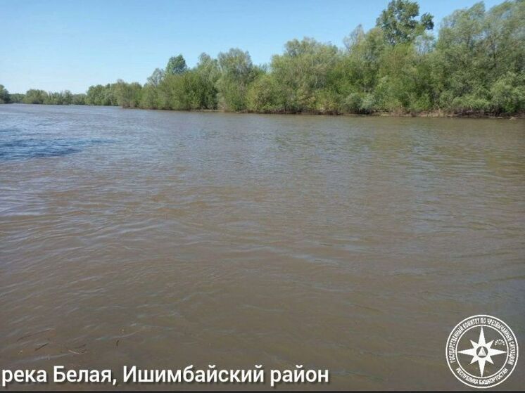 Стало известно, какие реки Башкирии показали наибольшее снижение уровня