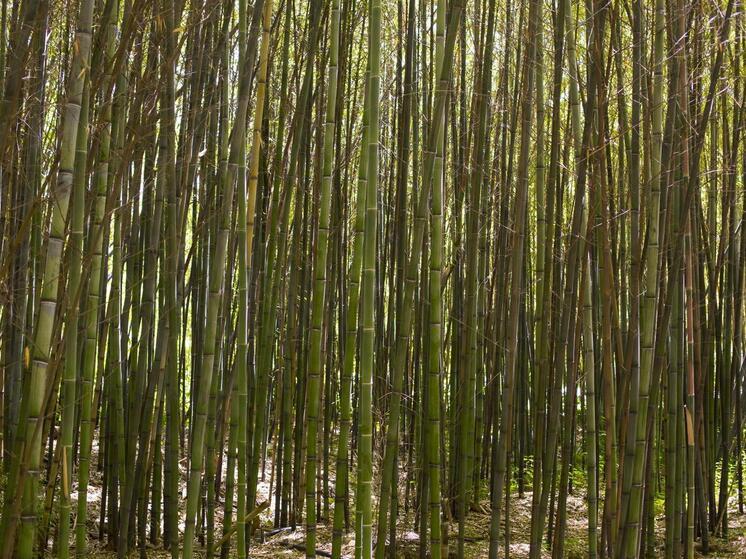 Красивые, но смертельно опасные: ТОП-3 мест на Земле, которых стоит избегать