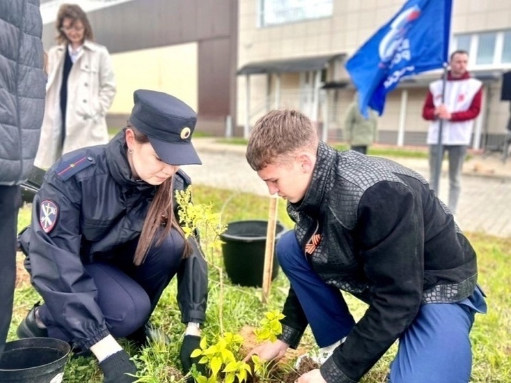 Великолукские полицейские высадили сирень в рамках акции «Сад Памяти»