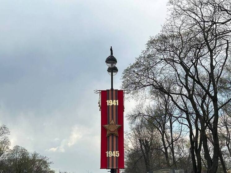 В Мурино 9 мая ограничат движение транспорта из-за «Бессмертного полка»