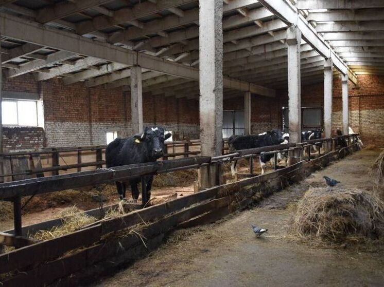 Фермер из Башкирии получил субсидию на покупку техники