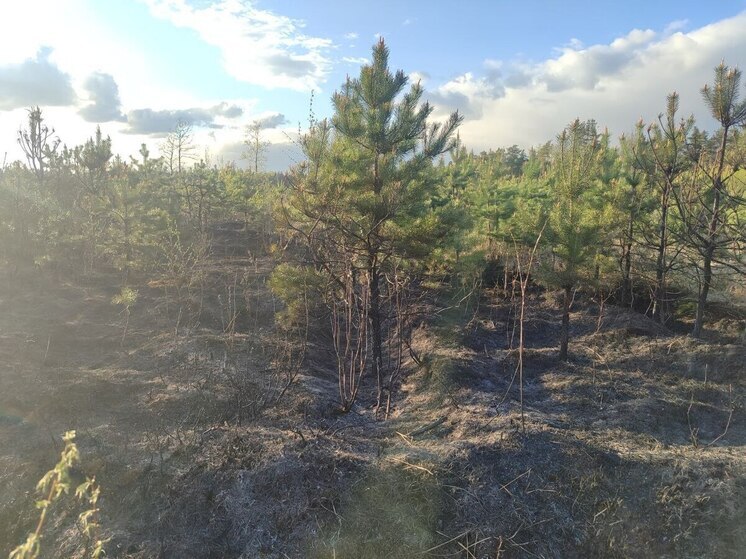 Новый лесной пожар вспыхнул в округе Балашиха