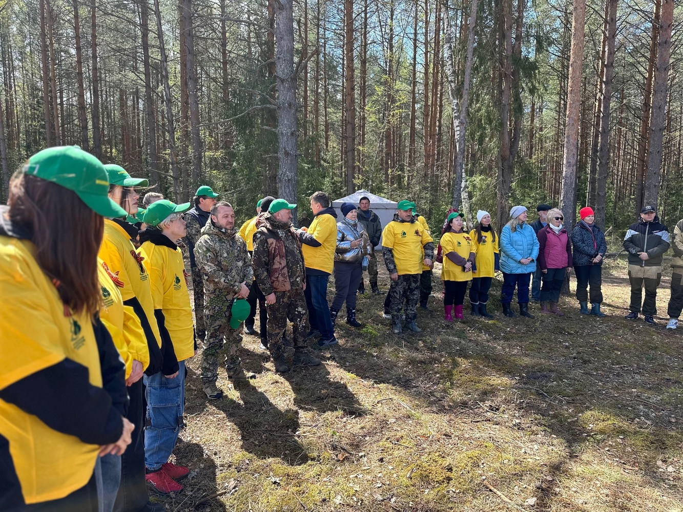В Судогодском районе студенты посадили деревья в рамках международной акции "Сад Памяти"