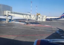 Представители самарской таможенной службы рассказали об основных нарушениях, которые выявляются у пассажиров рейсов