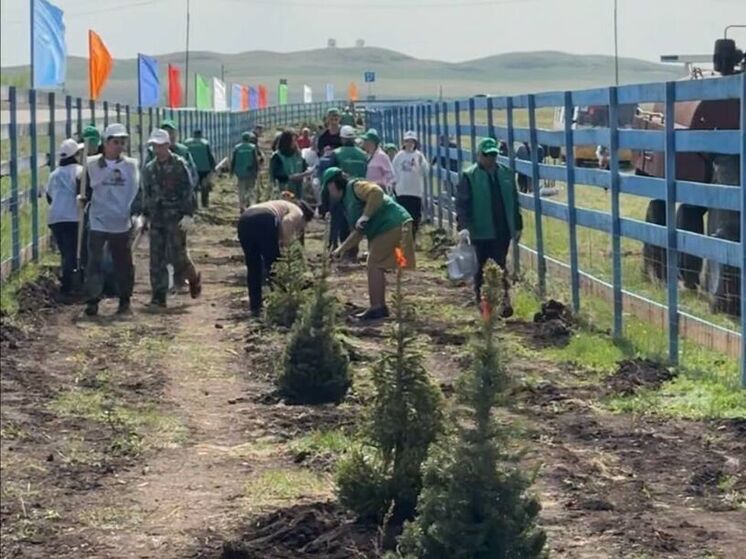Мероприятия в Абзелиловском районе посвятили 80-летию Победы