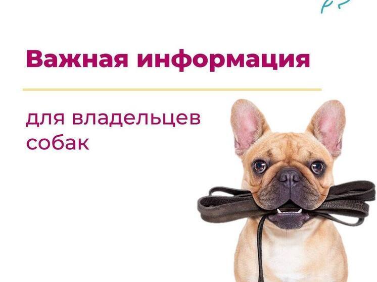 Жителей Тазовского района из-за отлова бродячих собак призвали не выпускать питомцев