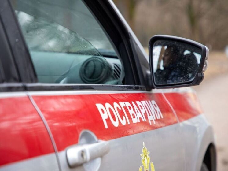 Сотрудники Росгвардии предотвратили убийство женщины в Егорьевске