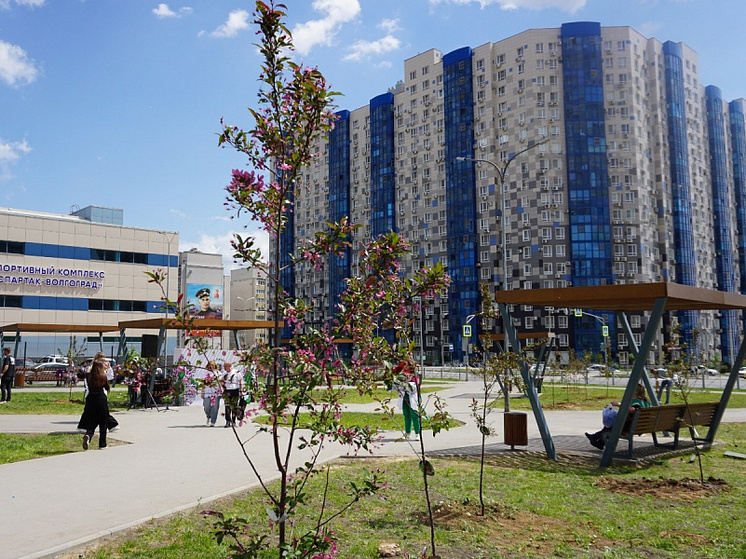 В Волгограде к 80-летию Великой Победы высадили символичное количество деревьев