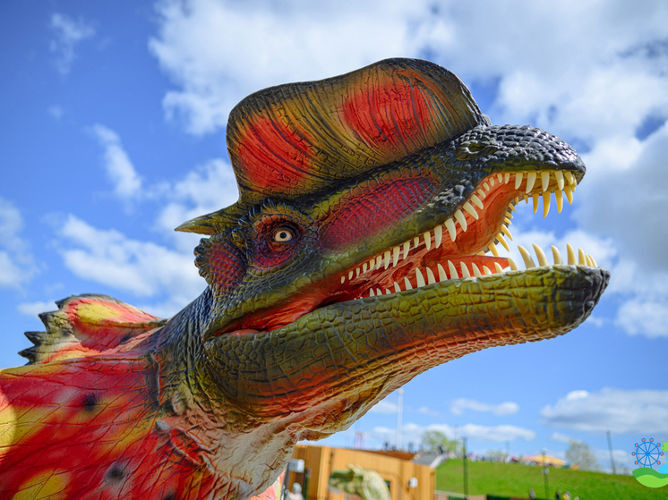 Путешествие в прошлое: «Динопарк» открылся в Пскове