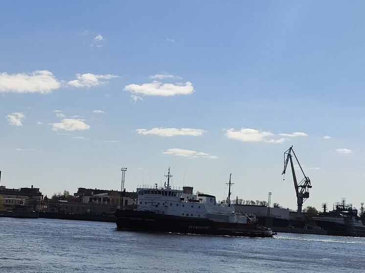 В Калининграде произойдет презентация нового фрегата для ВМС Индии