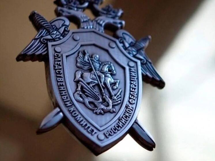 В Новом Уренгое два мигранта давили машиной и резали мужчину