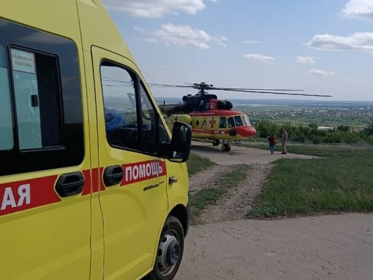 Санавиация спасла недоношенных близнецов из Вольска