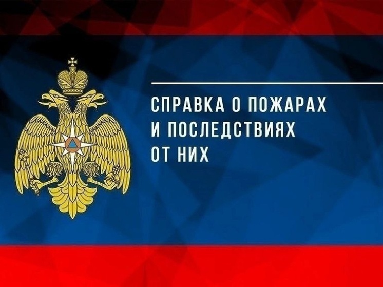 1951 пожар случился в Псковской области за четыре месяца 2025 года