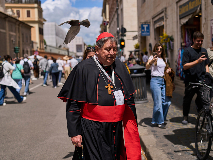 Возраст, идеология и Дональд Трамп стали ключевыми критериями для избрания следующего понтифика
