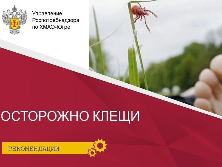Роспотребнадзор рассказал югорчанам про защиту от клещей