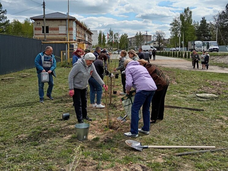 В калужском Кирове высадили аллею тополей без пуха