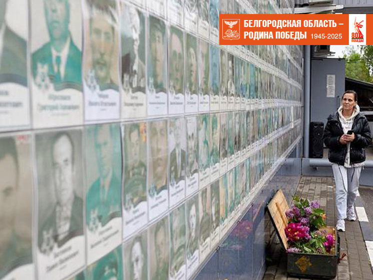 Жители Шебекино создали стену Памяти в канун Дня Победы