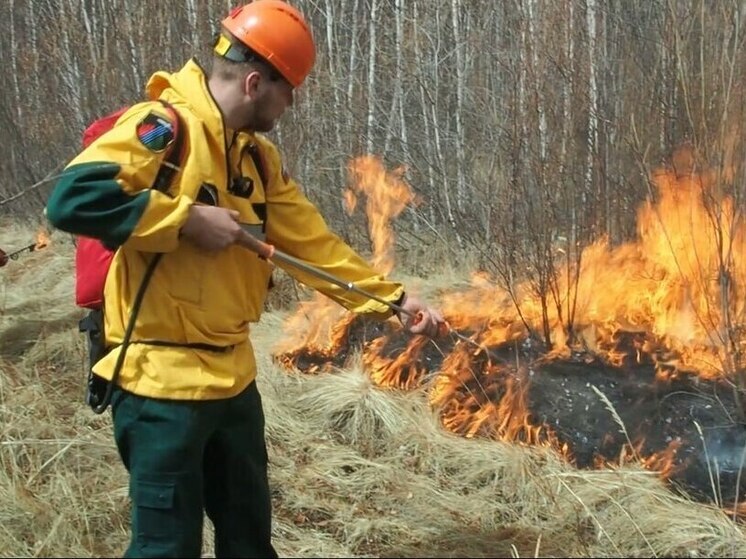 Десять «рукотворных» лесных пожаров обнаружено в Забайкалье за сутки