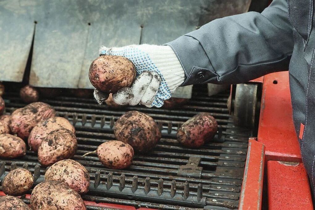 Фото: Наталия Губернаторова