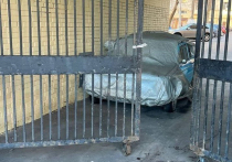 Житель Татарстана, который в январе этого года расправился с подругой в «Запорожце» актера Гоши Куценко на Кутузовском проспекте, заявил, что намеренно причинил ей смертельный вред