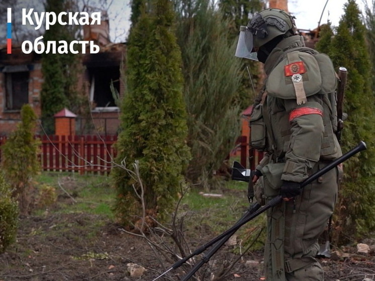 В Курской области уничтожили более 320 тысяч мин и взрывоопасных предметов