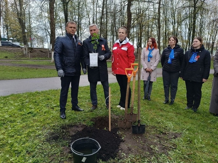 В Великом Новгороде, Старой Руссе и Боровичах посадили «Тополя Победы»