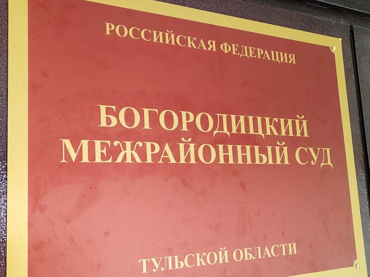 Тулячку приговорили к штрафу в 20 тысяч рублей за ложный донос