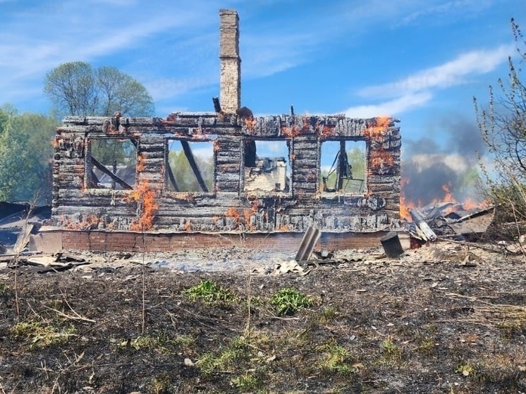 В деревне под Тарусой сгорел нежилой бревенчатый дом